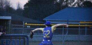 PREP BASEBALL: Addison falls to Decatur Heritage at home 7-3