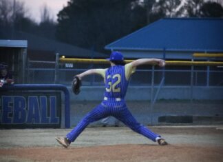 PREP BASEBALL: Addison falls to Decatur Heritage at home 7-3