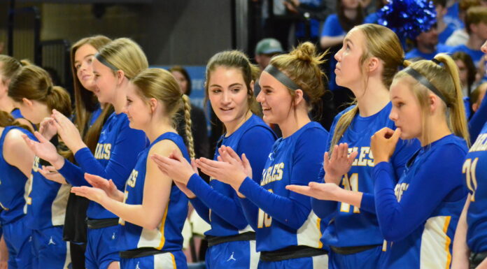 PREP BASKETBALL: No. 4 Cold Springs falls to No. 1 Mars Hill in 2A State Semifinals 60-50