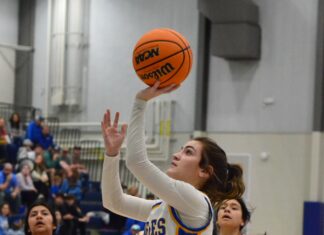 PREP BASKETBALL: Cold Springs advances to area finals with 71-34 win over Cleveland