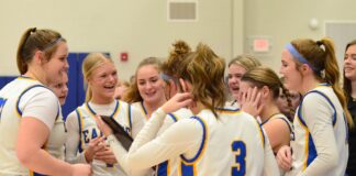 PREP BASKETBALL: No. 4 Cold Springs captures area title with 58-49 win over No. 3 Locust Fork