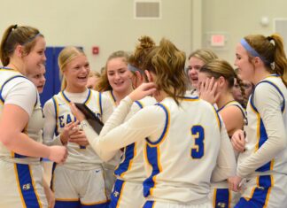 PREP BASKETBALL: No. 4 Cold Springs captures area title with 58-49 win over No. 3 Locust Fork