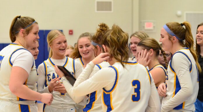 PREP BASKETBALL: No. 4 Cold Springs captures area title with 58-49 win over No. 3 Locust Fork