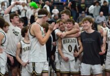 PREP BASKETBALL: Cullman captures 3rd straight area title with 54-42 win over Hartselle