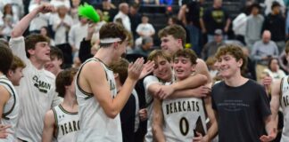 PREP BASKETBALL: Cullman captures 3rd straight area title with 54-42 win over Hartselle