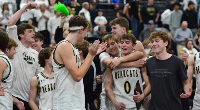 PREP BASKETBALL: Cullman captures 3rd straight area title with 54-42 win over Hartselle