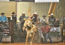 41st annual Stars and Stripes Rodeo returning March 1-2