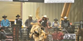 41st annual Stars and Stripes Rodeo returning March 1-2