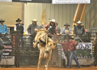 41st annual Stars and Stripes Rodeo returning March 1-2