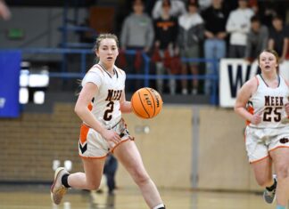 PREP BASKETBALL: Meek falls to No. 3 Belgreen at NW Regional 54-34