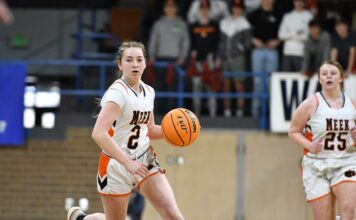 PREP BASKETBALL: Meek falls to No. 3 Belgreen at NW Regional 54-34