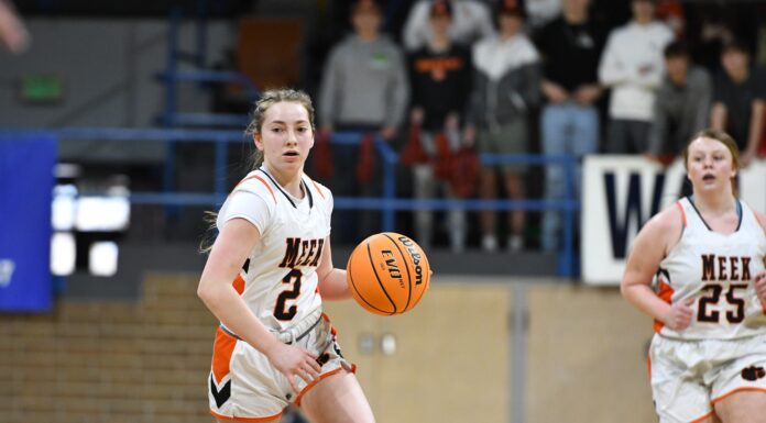PREP BASKETBALL: Meek falls to No. 3 Belgreen at NW Regional 54-34