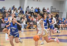 PREP BASKETBALL: Hanceville falls to Etowah in area tournament 25-23