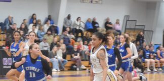 PREP BASKETBALL: Hanceville falls to Etowah in area tournament 25-23