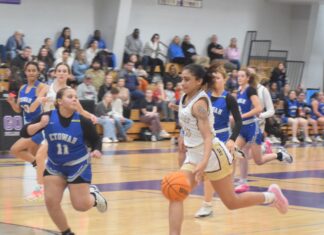 PREP BASKETBALL: Hanceville falls to Etowah in area tournament 25-23