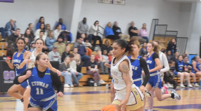 PREP BASKETBALL: Hanceville falls to Etowah in area tournament 25-23