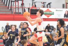 PREP BASKETBALL: Vinemont advances to area finals with 51-33 win over Brindlee Mountain