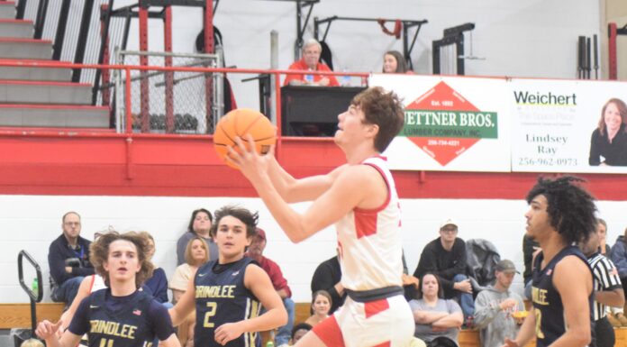 PREP BASKETBALL: Vinemont advances to area finals with 51-33 win over Brindlee Mountain