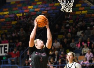 PREP BASKETBALL: Lady Warriors fall to No. 1 Jasper at NW Regional 63-39