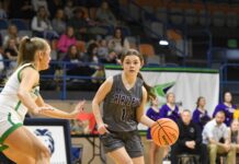 PREP BASKETBALL: ‘Grow together’: Fairview’s Brooklynn Merriman recaps freshman season