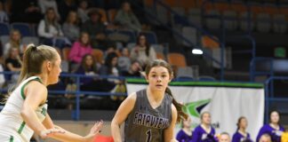 PREP BASKETBALL: ‘Grow together’: Fairview’s Brooklynn Merriman recaps freshman season