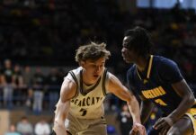 PREP BASKETBALL: No. 7 Cullman falls to No. 1 Buckhorn 62-37 in NW Regional Finals