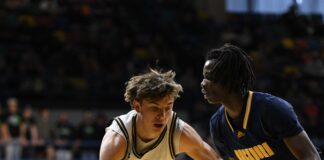 PREP BASKETBALL: No. 7 Cullman falls to No. 1 Buckhorn 62-37 in NW Regional Finals