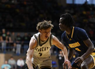 PREP BASKETBALL: No. 7 Cullman falls to No. 1 Buckhorn 62-37 in NW Regional Finals