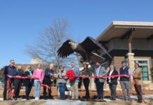 New eagle statue added to Lake Guntersville State Park