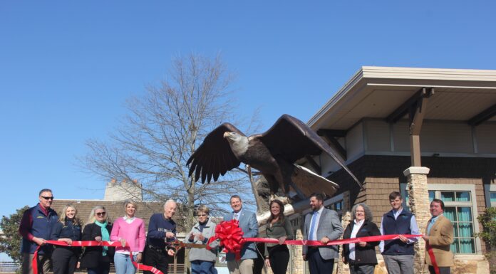 New eagle statue added to Lake Guntersville State Park