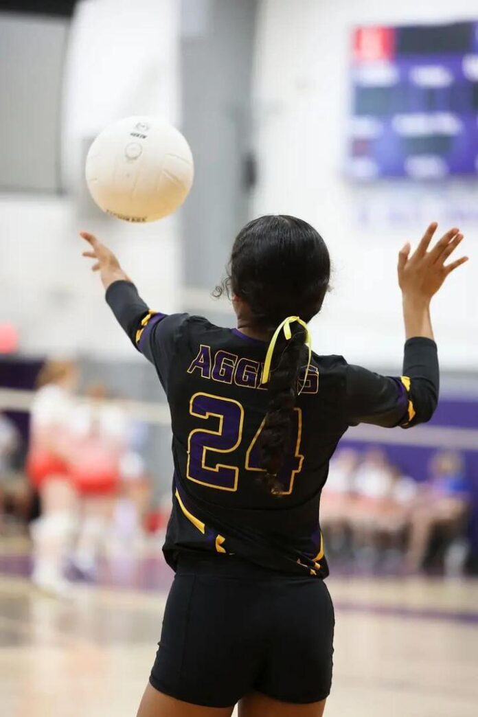 IMG_20240120_143002_467