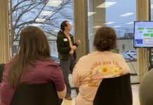 Planning and planting your summer garden