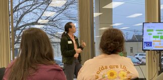 Planning and planting your summer garden