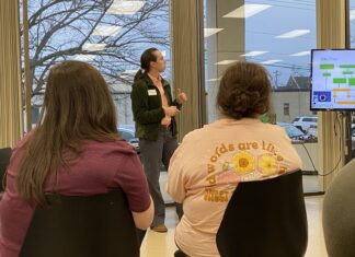 Planning and planting your summer garden