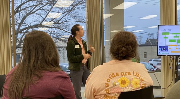 Planning and planting your summer garden