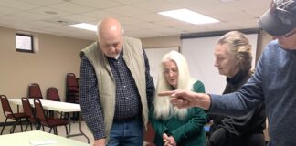 ‘Trees are Terrific… in Cities and Towns!’