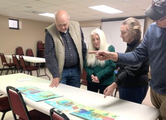 ‘Trees are Terrific… in Cities and Towns!’