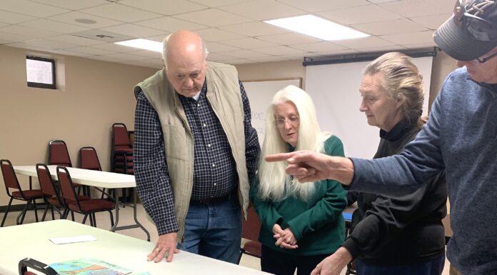 ‘Trees are Terrific… in Cities and Towns!’