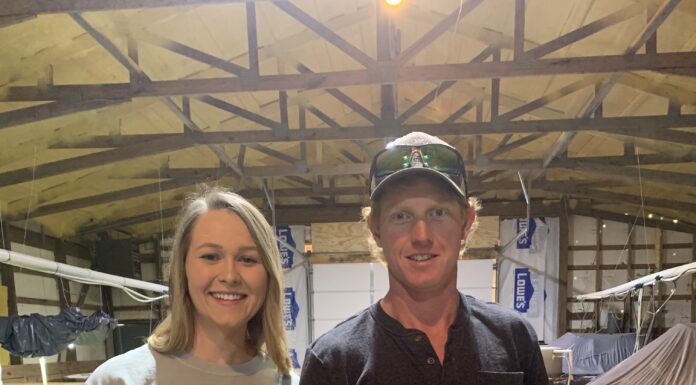 D&Y Farms: Fresh farm-raised saltwater shrimp year-round