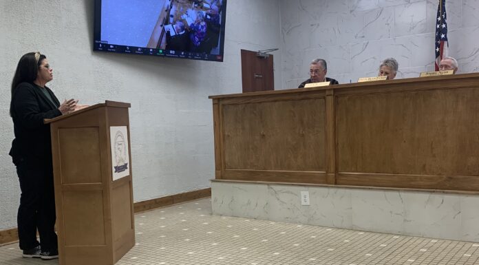 Hanceville City Council discusses pool, Rayford Talley Building, College Drive