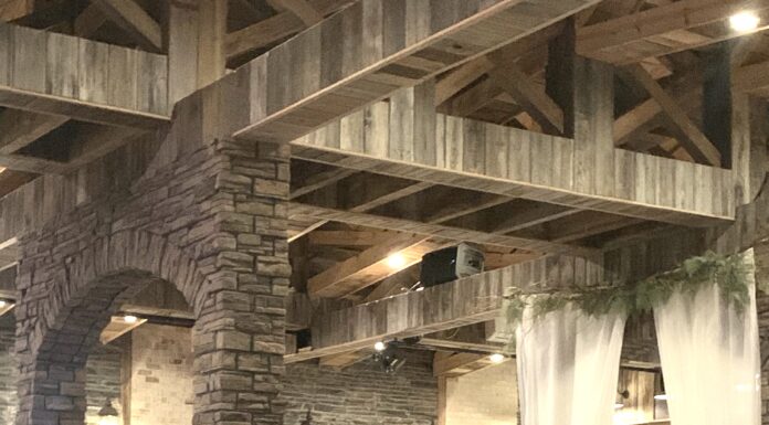 ‘We’ve had an amazing year’