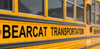 Bearcat Transportation coming soon to Cullman City Schools families