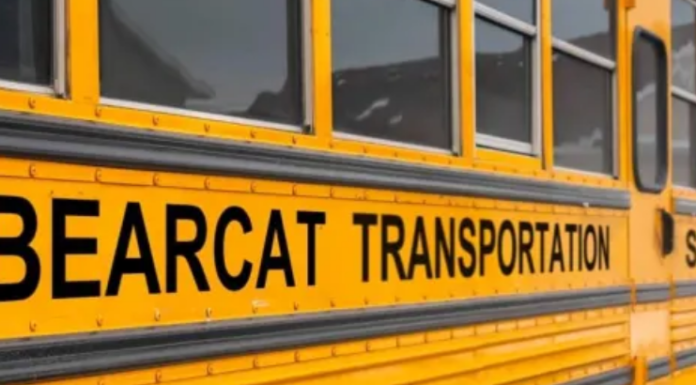 Bearcat Transportation coming soon to Cullman City Schools families
