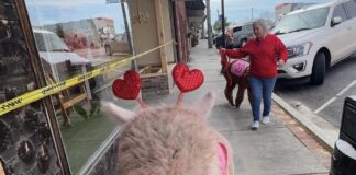 Celebrate the season of love locally