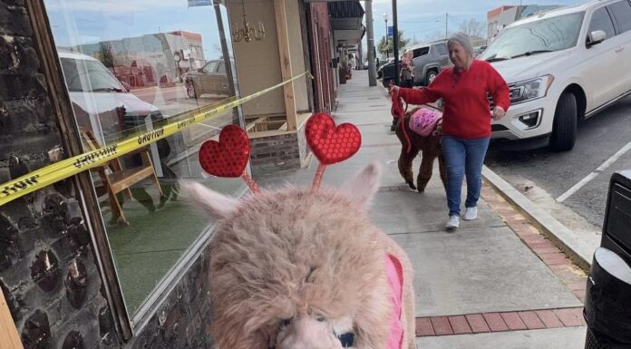 Celebrate the season of love locally