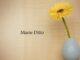 Obituary: Marie Ditto