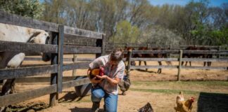 Cullman Tractor Supply to host backyard poultry event Feb. 24