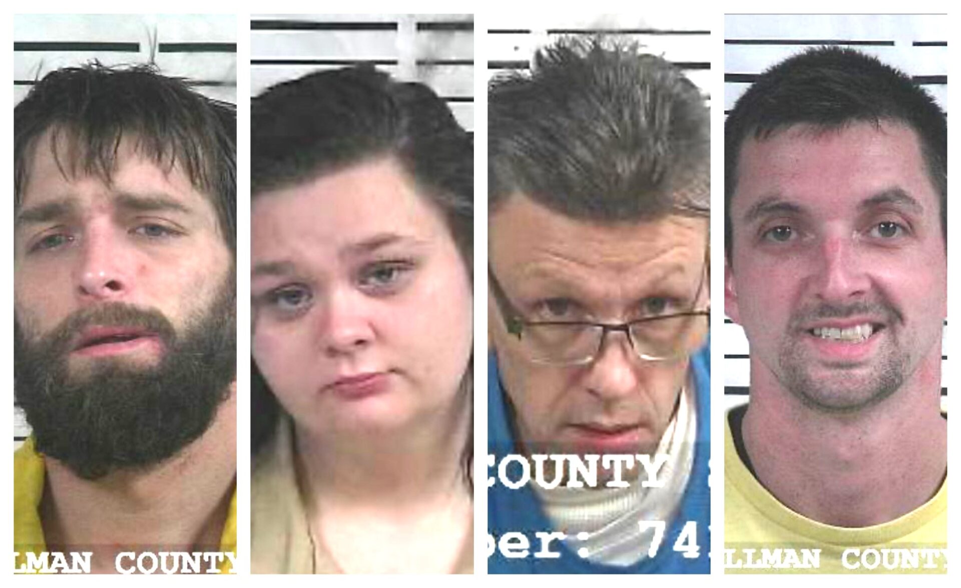 CCSO arrest roundup The Cullman Tribune
