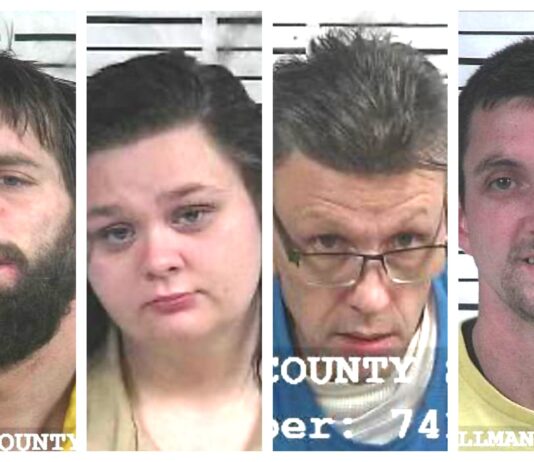 CCSO arrest roundup