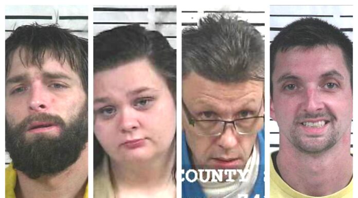 CCSO arrest roundup